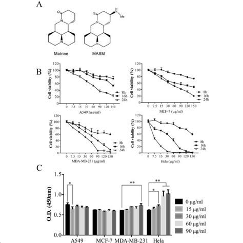 Masm Induced A Dose And Time Dependent Inhibitory Effect On Cell