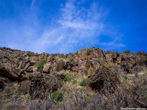 Cowiche Canyon