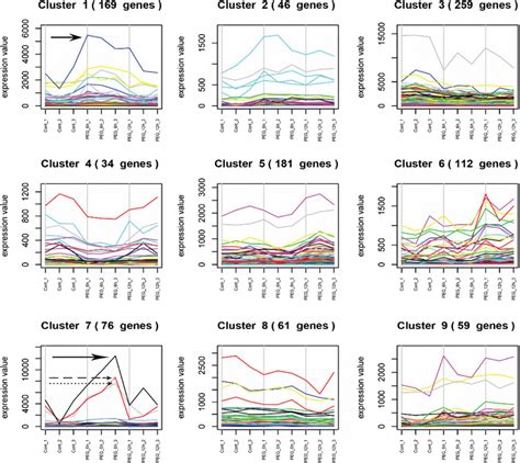 Time Scale Expression Dynamics Of DEGs In The Drought Responsive