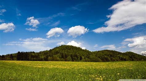 🔥 Free Download Mountain Meadow Wallpaper By Monicac Wallpapersafari