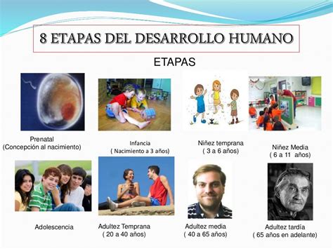 Fases de la infancia y sus características principales Psicologia Delphos