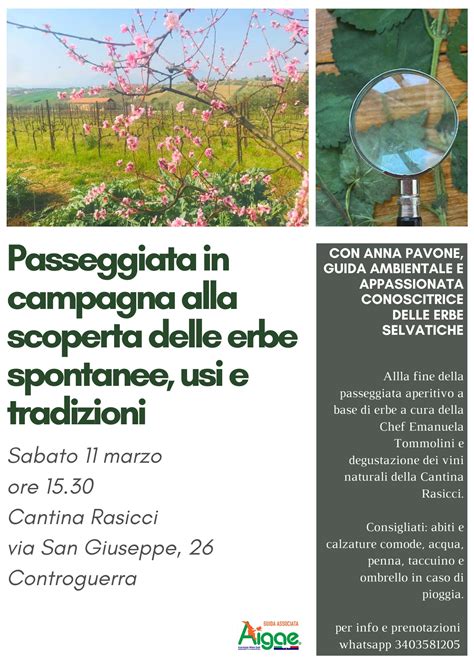 Passeggiata In Campagna Alla Scoperta Delle Erbe Selvatiche Usi E