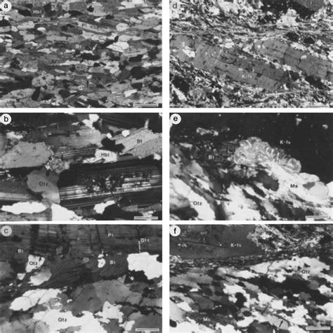 Photomicrographs Of Magmatic And Solid State Fabrics In Foliated Download Scientific Diagram