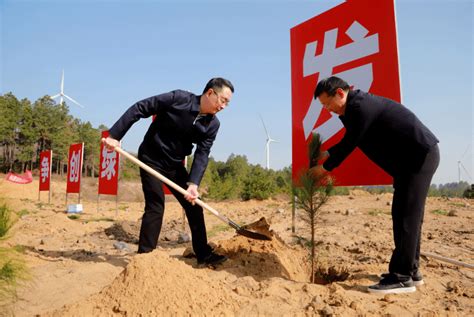 九江都昌300余名干部群众义务植树添新绿 江西省 景象 生态