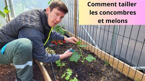 Comment Tailler Les Concombres Et Melons Youtube