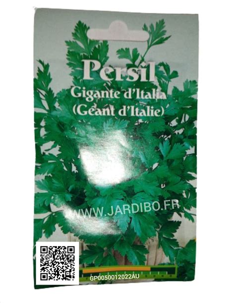 Graines De Persil Commun G Ant D Italie Jardibo