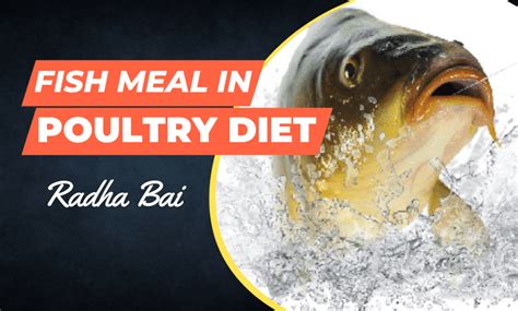 Fish meal in Poultry Diet - SR Publications