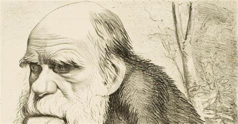 Autobiografía de Charles Darwin Crítica El anís y el mono