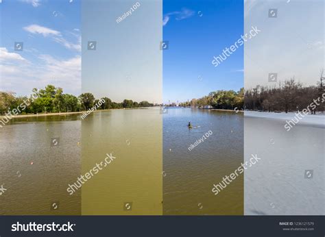 Four Seasons Concept Effect 4 Seasons Stock Photo 1236121579 Shutterstock