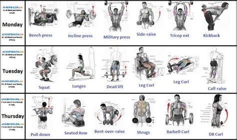 Muscle Building Plans Atelier Yuwa Ciao Jp