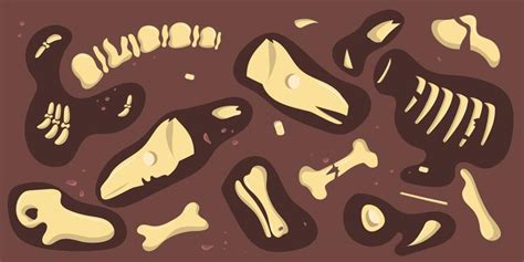 Bone Texture Vector Art Icons And Graphics For Free Download