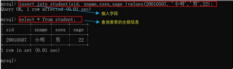 Mysql创建数据库 创建数据库进入 Csdn博客