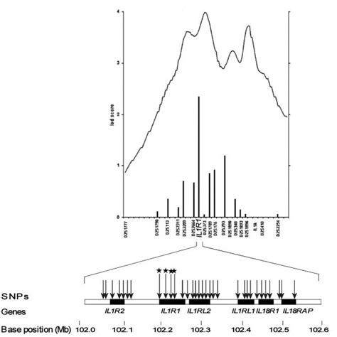 Snp Selection Based On The Results Of Genome Wide Scan By Leppävuori Et