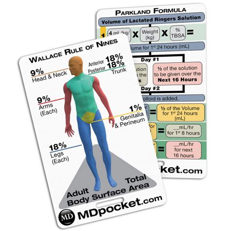 Adult Burn Resuscitation & Parkland Formula Rapid ID