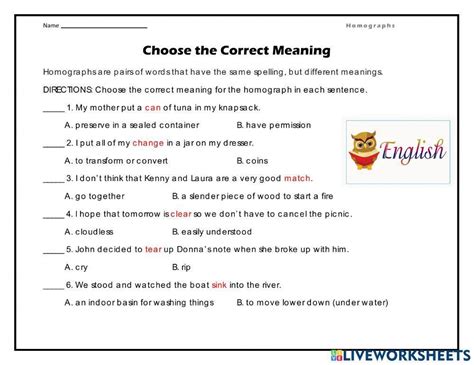 Homographs Practice Worksheet Live Worksheets