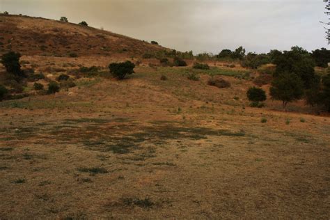 Laurel Canyon Park - Santa Barbara Parks