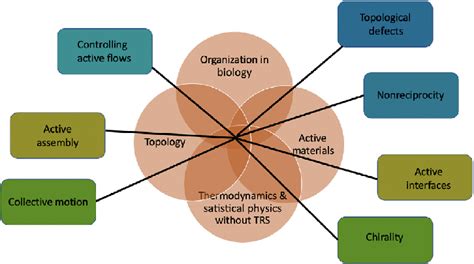 A Pictorial Depiction Of The Connections Among The Various Aspects Of