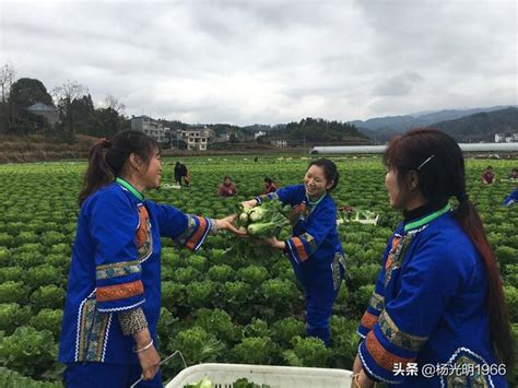 貴州天柱：「春季攻勢」贏來百姓新希望 每日頭條