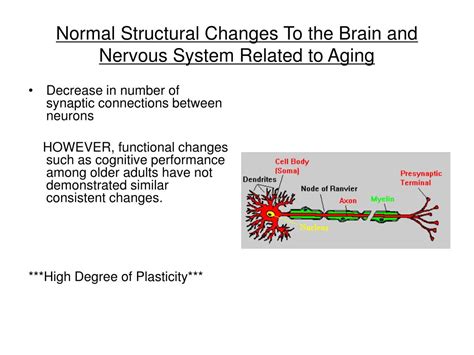 PPT Aging Change And Adaptation Aging And Mental Health PowerPoint