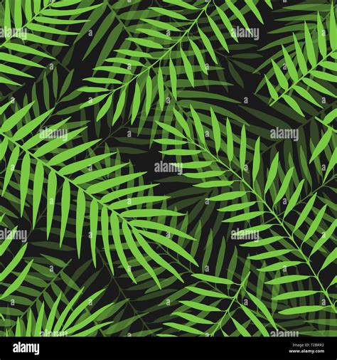 Vector Tropical Palm Leaves Seamless Pattern Jungle Floral Ornamental