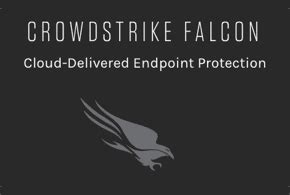 CrowdStrike Debuts Falcon Spotlight for Vulnerability Management