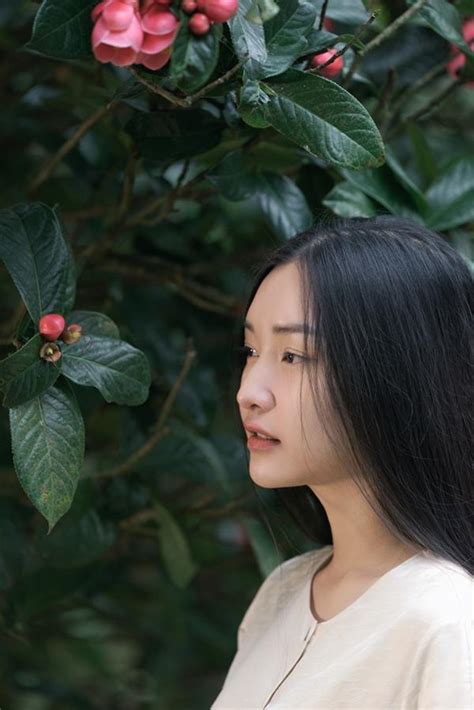 Tranh C I Gay G T Xung Quanh T O H Nh N A Vi T N A H N C A N Ng Th X Hu