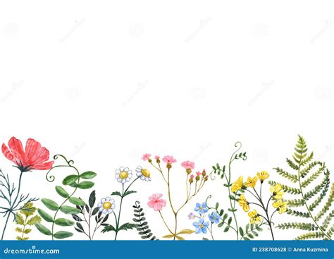 Watercolor Wildflowers Border Floral Frame Illustration Stock