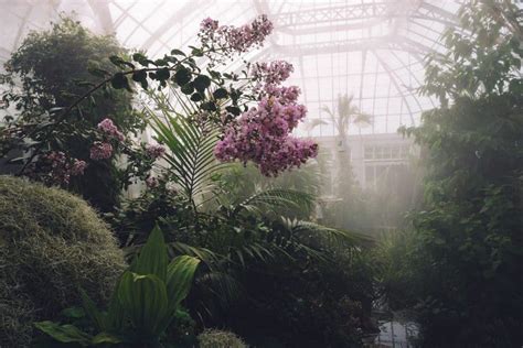 The 3 Best Greenhouse Misting Systems On The Market Greenhouse Info