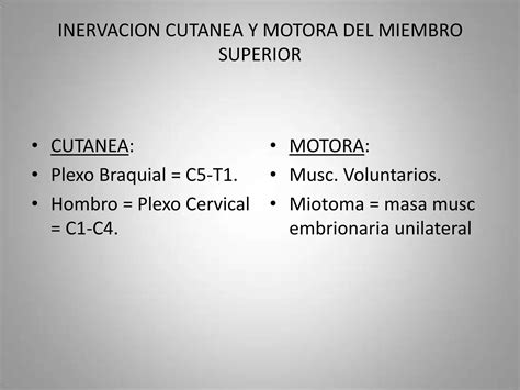 Fascias Vasos Eferentes Inervacion Cutanea Y Miotomas Del Miembro