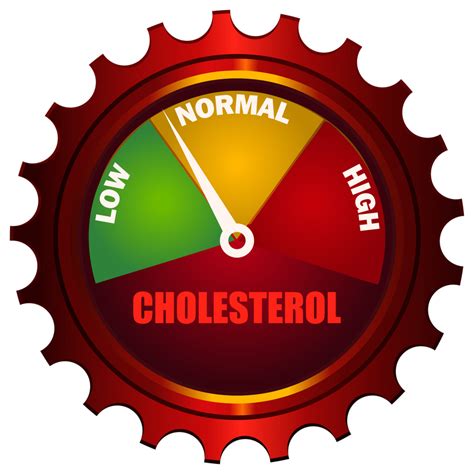 What Is a Normal Cholesterol Level? - University Health News