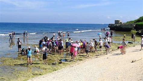 開全台離島先例 小琉球3潮間帶 7月起收海洋保育費 寶島大小事 台灣 世界新聞網