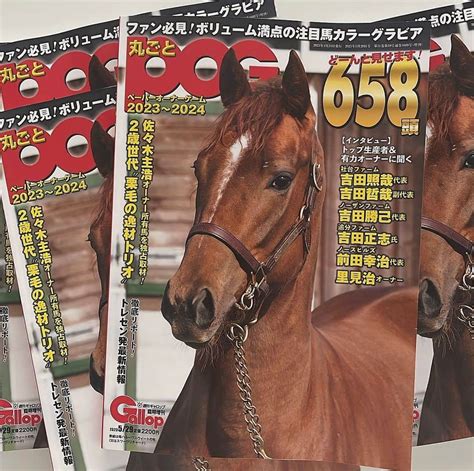 榎本加奈子さんのインスタグラム写真 榎本加奈子instagram「いま発売されている 週刊gallopの増刊号「丸ごとpog」 の表紙