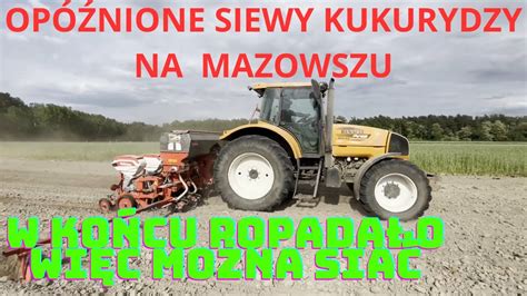 OPÓŹNIONE SIEWY KUKURYDZY YouTube