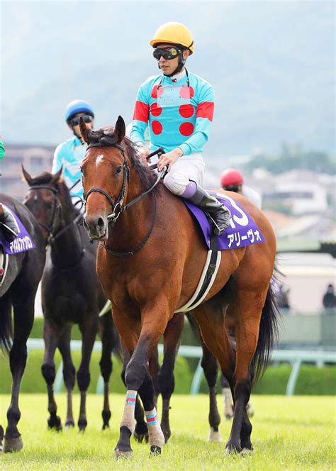 22年小倉大賞典を制したアリーヴォが引退 今後は乗馬になる予定 スポーツ報知