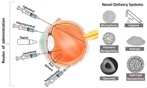 Novel Approaches in the Drug Development and Delivery Systems for Age