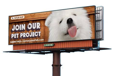 Customize Billboard Design Of Your Pet Displayed On Lamar Digital