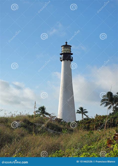 Bill Baggs Cape Florida State Park. Stock Photo - Image of coconut ...