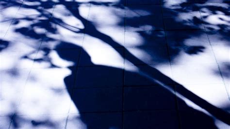 High Risk Teen Sex Offender On Probation Breaks Into Mackay Home Molests Year Old Girl