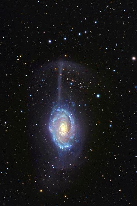 Umbrella Galaxy | Astronomy, Galaxies, Space stars