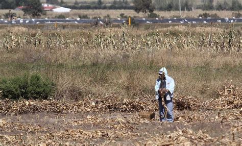 Por Lo Menos Siete Municipios De Slp En Riesgo De Sequía Extrema