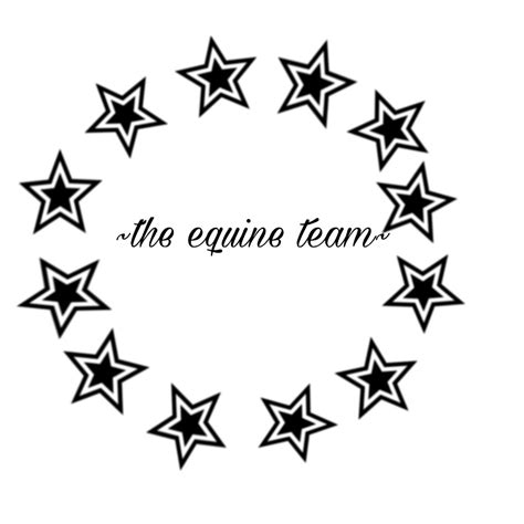 The Equine Team Youtube