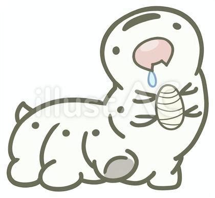 silkworm  ac