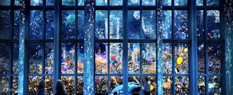 OCEAN BY NAKED Exhibition Ticket In Shanghai Klook