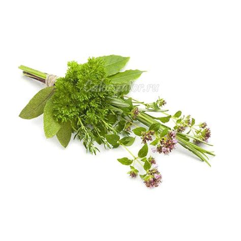 Сырье и приправы - Calorizator.ru