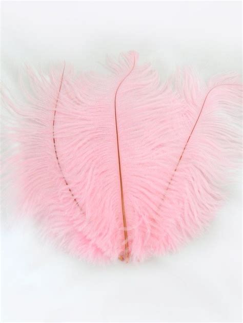 Ballerina Pink Ostrich Feather Drab Inches Package Etsy Pink