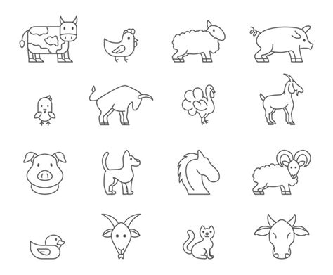 Hundred Cattle Like Mammal Royalty Free Images Stock Photos