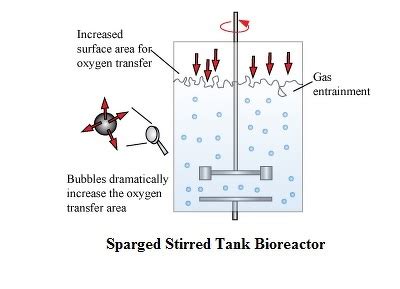 Simple Stirred Tank Bioreactor