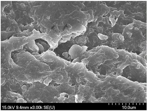 一种可生物降解型复合水凝胶及其制备方法和应用与流程