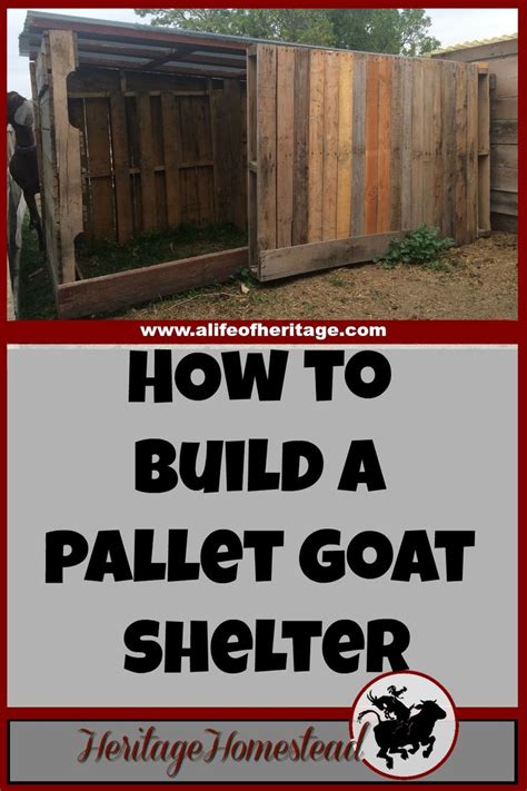 Free Goat Shelter Plans [For 3-6 Goats!] | Goat shelter, Goat house ...