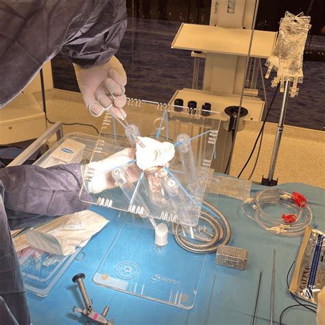 Anal Fistül Fissür Hemoroid Eğitim Seti PraticMed